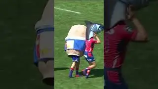 ABSOLUTE CARNAGE in rugby mascot race