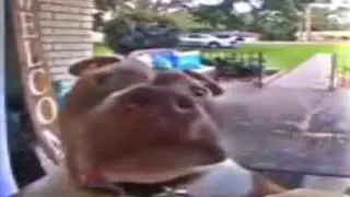 Top 5 Neighbor