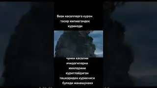 11 ноября 2022 г.