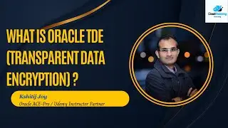 What is Oracle TDE (Transparent Data Encryption)