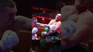 Referee saving Tyson Fury
