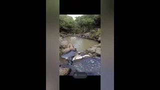 Banda Mobil Calles de tierra