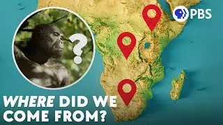 There's No Single Cradle of Humankind