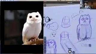 How to Draw Owls with John Muir Laws (Part 2 of 2)