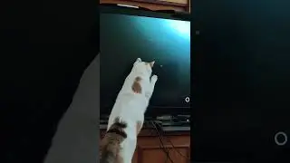 #мася