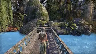 ESO housing - a water garden in the Ample Domicile.