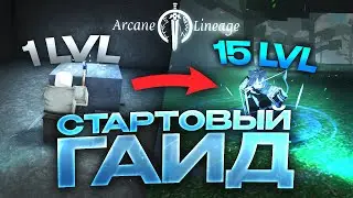 Стартовый Гайд на Arcane Lineage