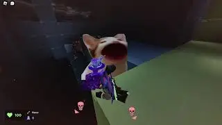 The most OP spot in EVADE |ROBLOX|