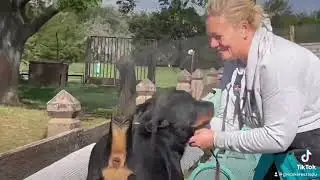 Happy Dog ugri bugri