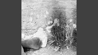 Falling Flowers