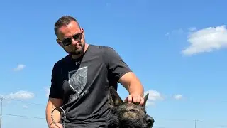 Shield K9 Dog Training is live!