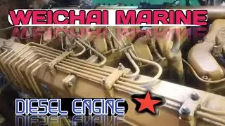 WEICHAI MARINE ENGINE weichai Chinese engine. 