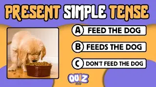 PRESENT SIMPLE TENSE with ROUTINES - Quiz Academy