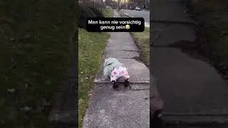 Man kann nie vorsichtig genug sein 😂😍