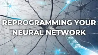 The Secret to Reprogramming Your Brain