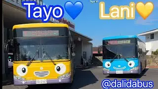 (4K) Tayo  💙 Lani  💛 Gani ❤️ Rogi 💚 Series 타요 💙 라니  💛 가니 ❤️ 서울 추모공원 터널 통과 로기  💚 #dalidabus