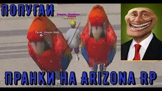 Пранки над игроками в костюмах попугая 1.0 на Arizona rp/SAMP/самп