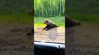 Указатель на дороге 😊#непРОСТомысли 👉 @RomanONLive