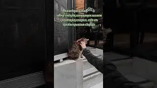 Хадис. Хадис. Хадис