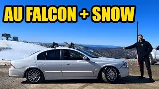 AU FALCON AT THE SNOW