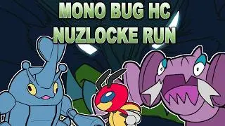 Can I Do A Mono Bug-Type Hardcore Nuzlocke Run In Pokemon SoulSilver? ✨💚
