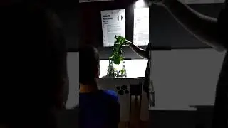 Мы в парке роботов рэкс и слуга