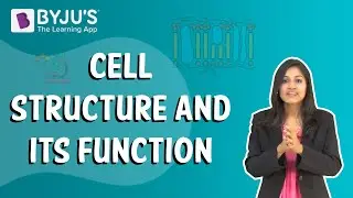 Cell Structure and its Function