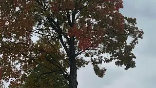 Lake Geneva Vlog : Autumn Edition 🍁