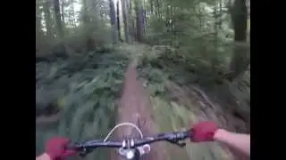 King Castle Trail 2014