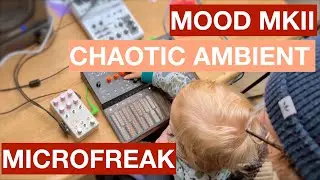 Chaotic Ambient with human randomiser // Microfreak, Mood MKII