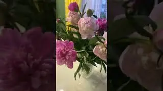 Покупаем у бабушек цветы ! Как долго стоят пионы, какая красота невероятная