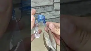 Обязательно запомни эту хитрость! Как можно легко сделать дверную защелку? #shorts