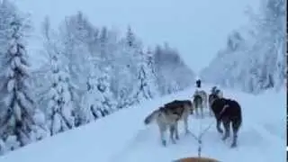 Huskytocht in Lapland