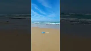 КАК ПЕРЕЕХАТЬ В АВСТРАЛИЮ🇦🇺3 самых популярных варианта🙌