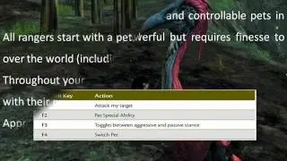 Guild Wars 2 Strategy Guide