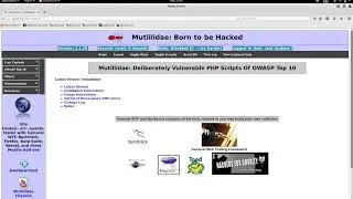 1. Logging In As Admin Without a Password By Manipulating Cookies
