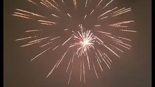 Shellkitje fallas 2022