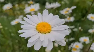 НОРВЕГИЯ.  7. 07. 2024 - 8. 07. 2024