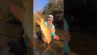 Fishy Moment #flyfishing #troutfishing #flyfishinglife #fishing