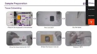 Stereo-seq webinar | Run Stereo seq Experiment from Wet Lab to Dry Lab
