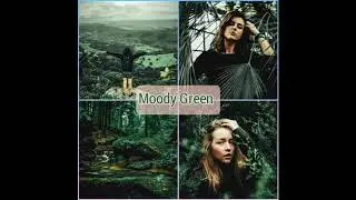 Moody Green tone presets Lightroom