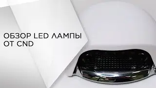 Обзор LED лампы от CND | Academy Expert