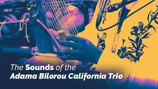 The Sounds of the Adama Bilorou California Trio