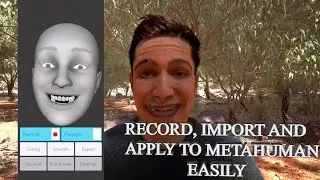 Import FBX Face Mocap and Apply To Metahuman Using My Custom Face Control Rig In Unreal Engine