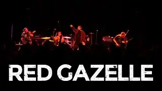 Red Gazelle Live Highlights