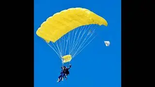 [FREE] TYLER, THE CREATOR TYPE BEAT 