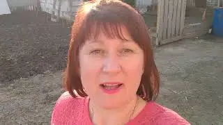 наступили огородние дела, посадили картофель и лук.