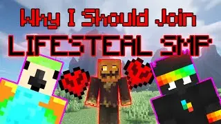 Scarecrow's Application for The LifeSteal SMP