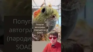 Попугая автографы #пародия на #systemofadown #попугай #прикол #птицы #юмор