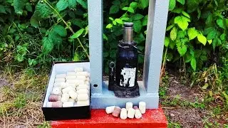 Making technoplankton at home for catching silver carp. Fishing